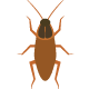 บริการ-กำจัดแมลงสาบ-ด้วยน้ำยาสมุนไพร-doctor-cockroach-herbal-control-in-Thailand-number1